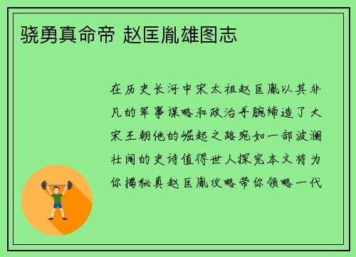 骁勇真命帝 赵匡胤雄图志