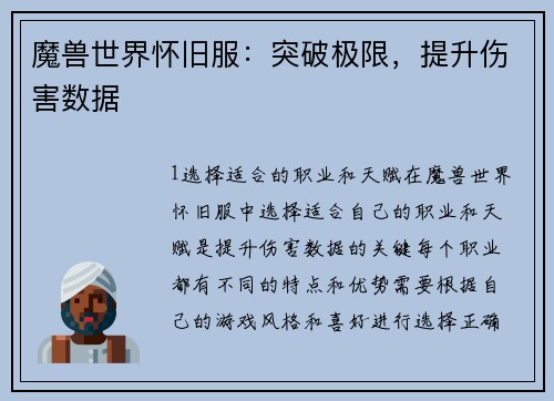 魔兽世界怀旧服：突破极限，提升伤害数据