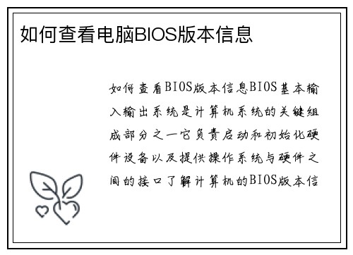 如何查看电脑BIOS版本信息