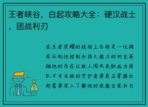 王者峡谷，白起攻略大全：硬汉战士，团战利刃